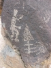 PICTURES/Three River Petroglyphs/t_IMG_3972.jpg